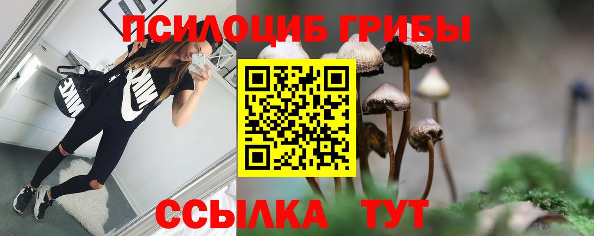 Псилоцибиновые грибы Cubensis  Вход с VPN  Нальчик 